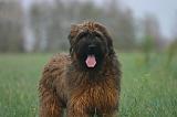 BRIARD 300